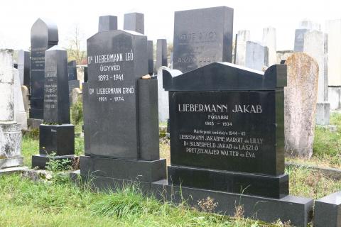  Hrob Jakuba Liebermanna, ktorý bol rabínom v Leviciach v rokoch 1892 - 1934. Dr. Liebermann v mladšom veku.
